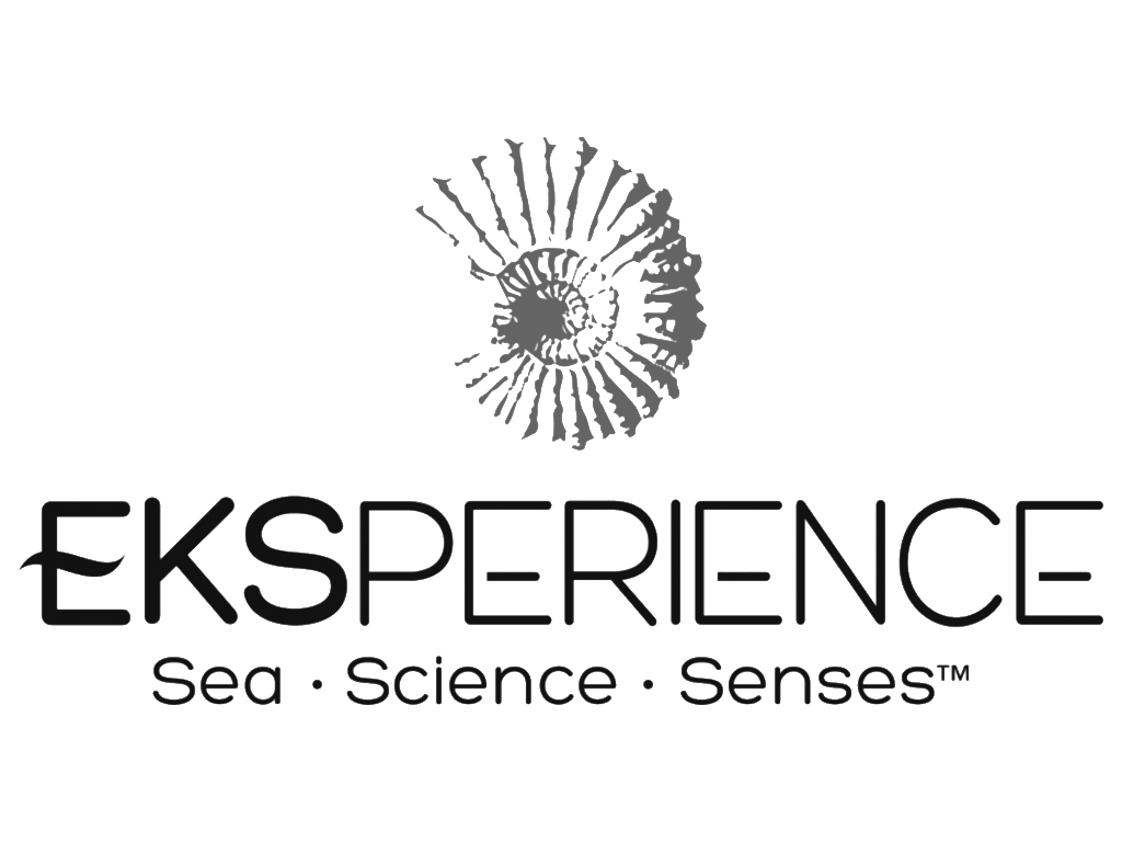 EKSPERIENCE